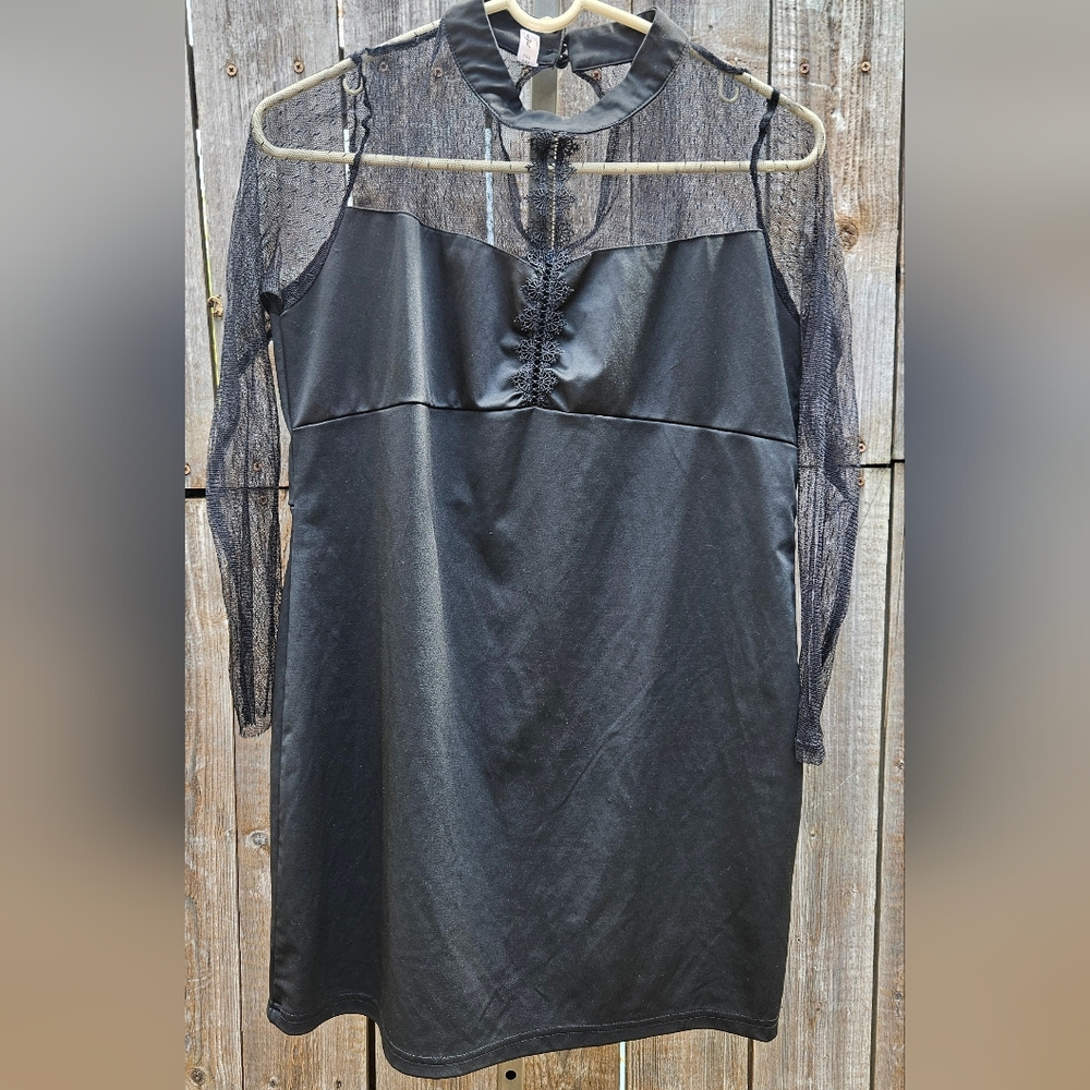 L, Rose Gal, Gothic Dress, Sheer Sleeves